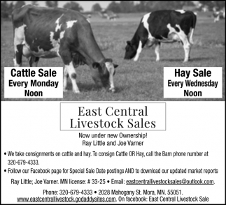 Hay Sale, East Central Livestock Sales, Mora, MN